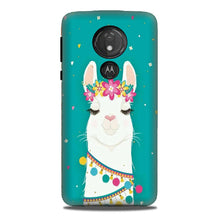 Camel Mobile Back Case for G7power (Design - 331)