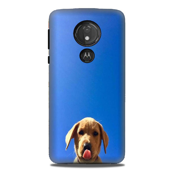 Dog Mobile Back Case for G7power (Design - 332)