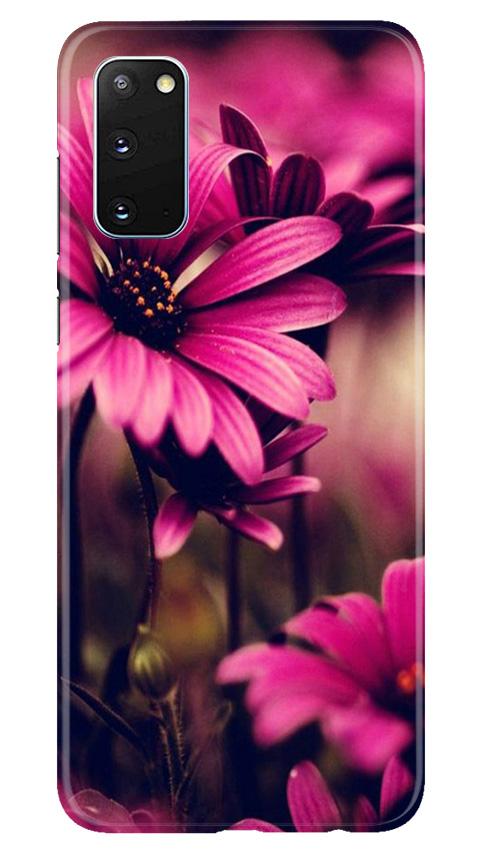 Purple Daisy Case for Samsung Galaxy S20