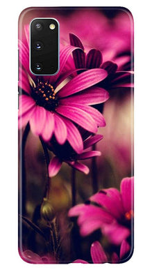 Purple Daisy Mobile Back Case for Samsung Galaxy S20 (Design - 65)
