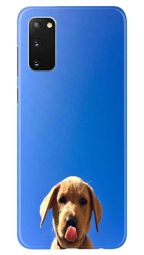 Dog Mobile Back Case for Samsung Galaxy S20 (Design - 332)