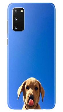 Dog Mobile Back Case for Samsung Galaxy S20 (Design - 332)