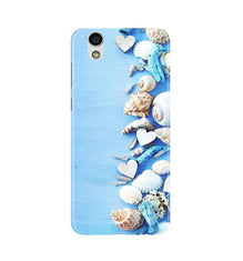 Sea Shells2 Mobile Back Case for Gionee F103 (Design - 64)