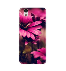 Purple Daisy Mobile Back Case for Gionee F103 (Design - 65)