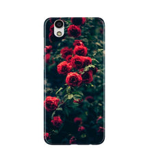 Red Rose Mobile Back Case for Gionee F103 (Design - 66)