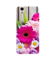 Coloful Daisy2 Case for Gionee F103