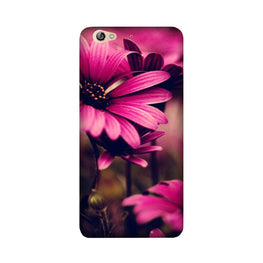 Purple Daisy Case for Gionee S6