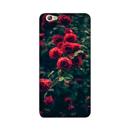 Red Rose Case for Gionee S6
