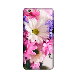 Coloful Daisy Case for Gionee S6