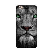 Lion Mobile Back Case for Gionee S6 (Design - 272)