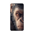 Angry Ape Mobile Back Case for Gionee S6 (Design - 316)