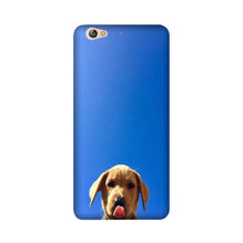 Dog Mobile Back Case for Gionee S6 (Design - 332)