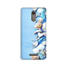 Sea Shells2 Mobile Back Case for Gionee S6s (Design - 64)