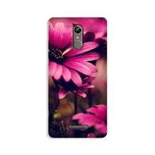 Purple Daisy Mobile Back Case for Gionee S6s (Design - 65)