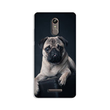 little Puppy Mobile Back Case for Gionee S6s (Design - 68)