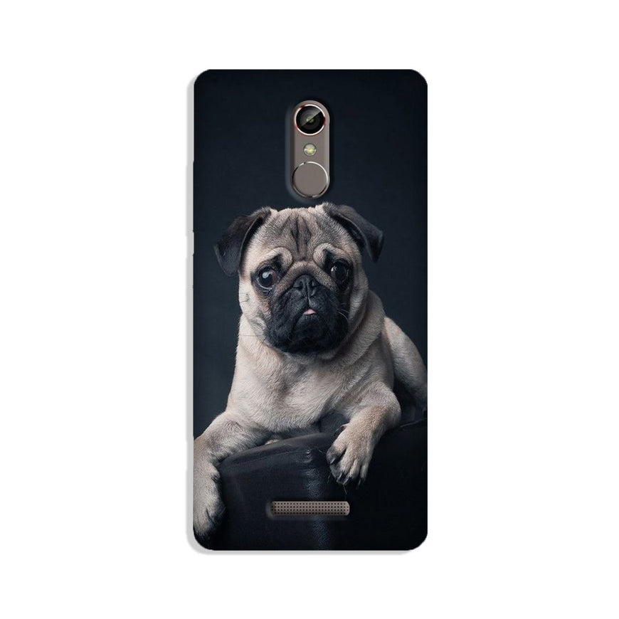 little Puppy Case for Gionee S6s