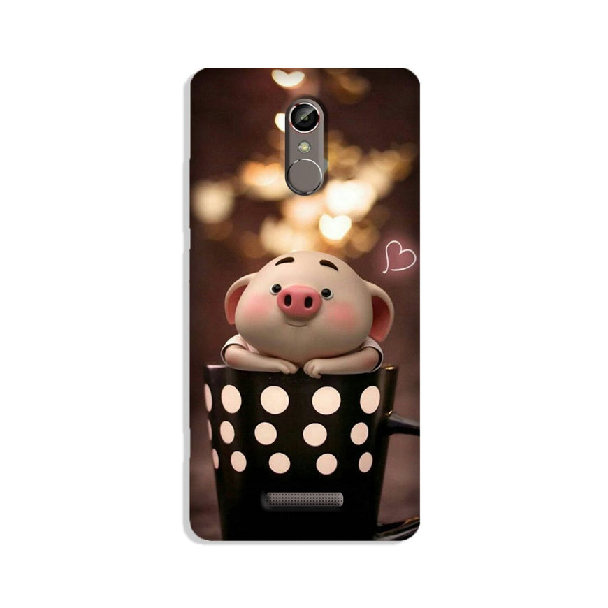 Cute Bunny Case for Gionee S6s (Design No. 213)