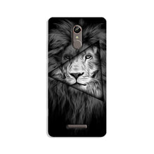 Lion Star Mobile Back Case for Gionee S6s (Design - 226)