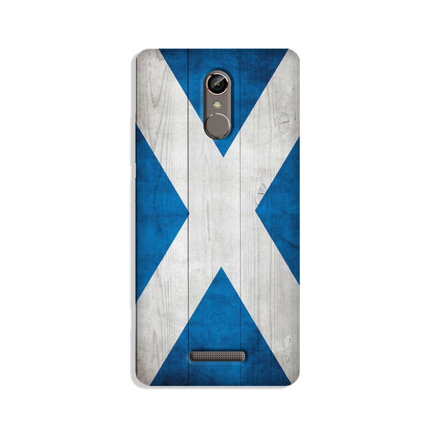 Designer Case for Gionee S6s (Design No. 277)
