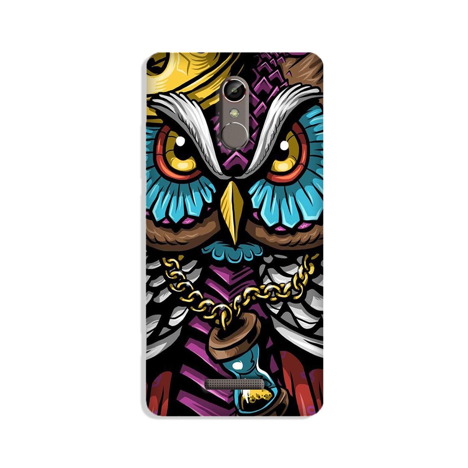 Owl Mobile Back Case for Gionee S6s (Design - 359)
