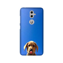 Dog Mobile Back Case for Gionee S9 (Design - 332)