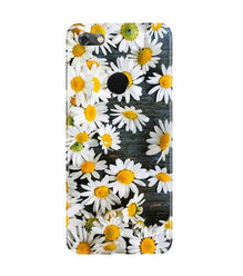 White flowers2 Mobile Back Case for Gionee M7 / M7 Power (Design - 62)