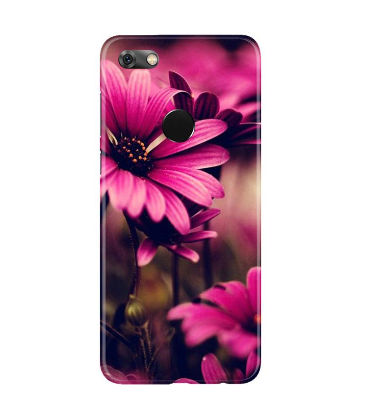 Purple Daisy Case for Gionee M7 / M7 Power