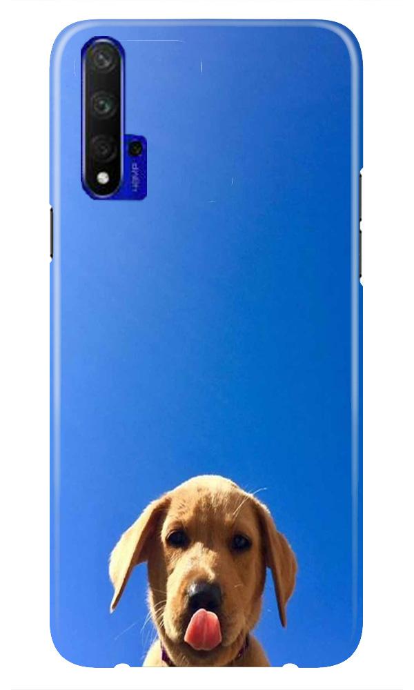 Dog Mobile Back Case for Huawei Honor 20 (Design - 332)