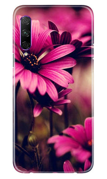 Purple Daisy Mobile Back Case for Huawei Y9s (Design - 65)