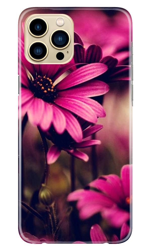 Purple Daisy Case for iPhone 13 Pro Max