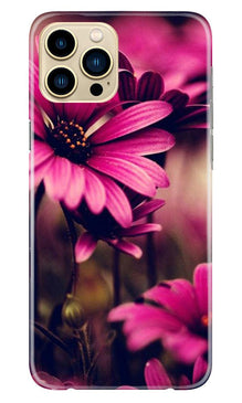 Purple Daisy Mobile Back Case for iPhone 13 Pro Max (Design - 65)
