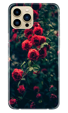 Red Rose Mobile Back Case for iPhone 13 Pro Max (Design - 66)
