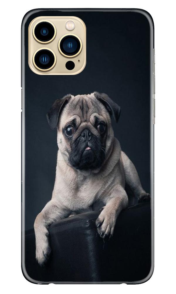 little Puppy Case for iPhone 13 Pro