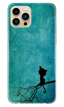 Moon cat Mobile Back Case for iPhone 13 Pro Max (Design - 70)