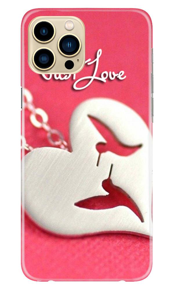 Just love Case for iPhone 13 Pro