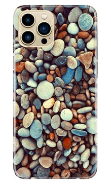 Pebbles Mobile Back Case for iPhone 13 Pro Max (Design - 205)