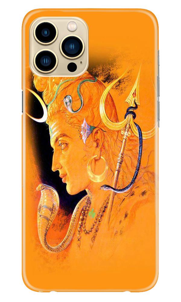Lord Shiva Case for iPhone 13 Pro Max (Design No. 293)