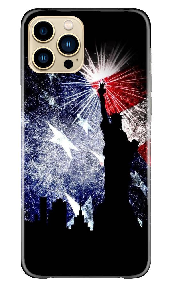 Statue of Unity Case for iPhone 13 Pro (Design No. 294)