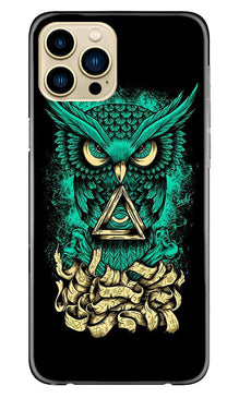 Owl Mobile Back Case for iPhone 13 Pro Max (Design - 358)