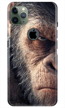 Angry Ape Mobile Back Case for iPhone 11 Pro Max Logo Cut (Design - 316)