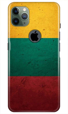 Color Pattern Mobile Back Case for iPhone 11 Pro Max Logo Cut (Design - 374)