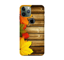 Wooden look3 Mobile Back Case for iPhone 11 Pro logo cut (Design - 61)