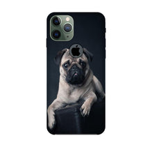 little Puppy Mobile Back Case for iPhone 11 Pro logo cut (Design - 68)