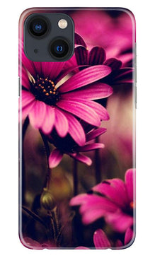 Purple Daisy Mobile Back Case for iPhone 13 Mini (Design - 65)