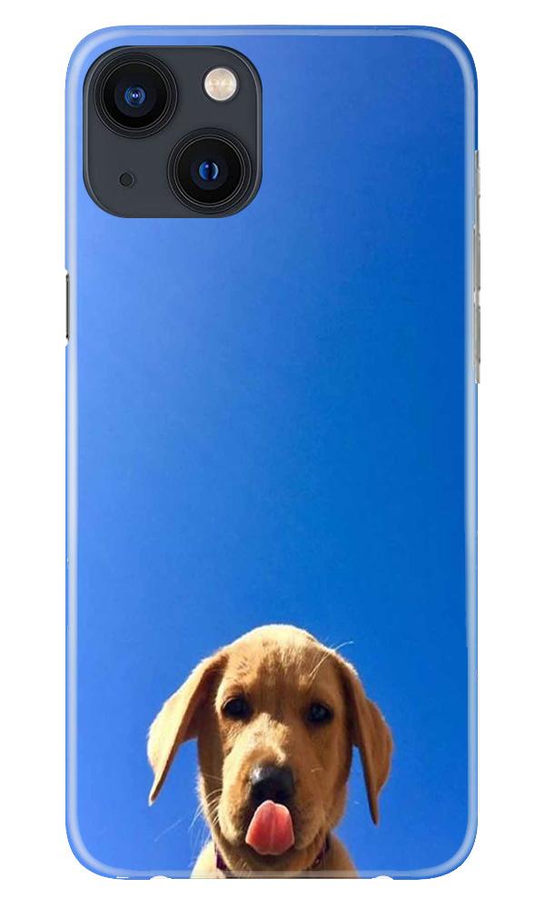 Dog Mobile Back Case for iPhone 13 Mini (Design - 332)