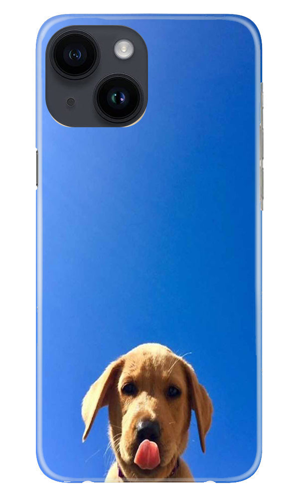 Dog Mobile Back Case for iPhone 14 (Design - 294)