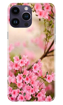 Pink flowers Mobile Back Case for iPhone 14 Pro Max (Design - 69)