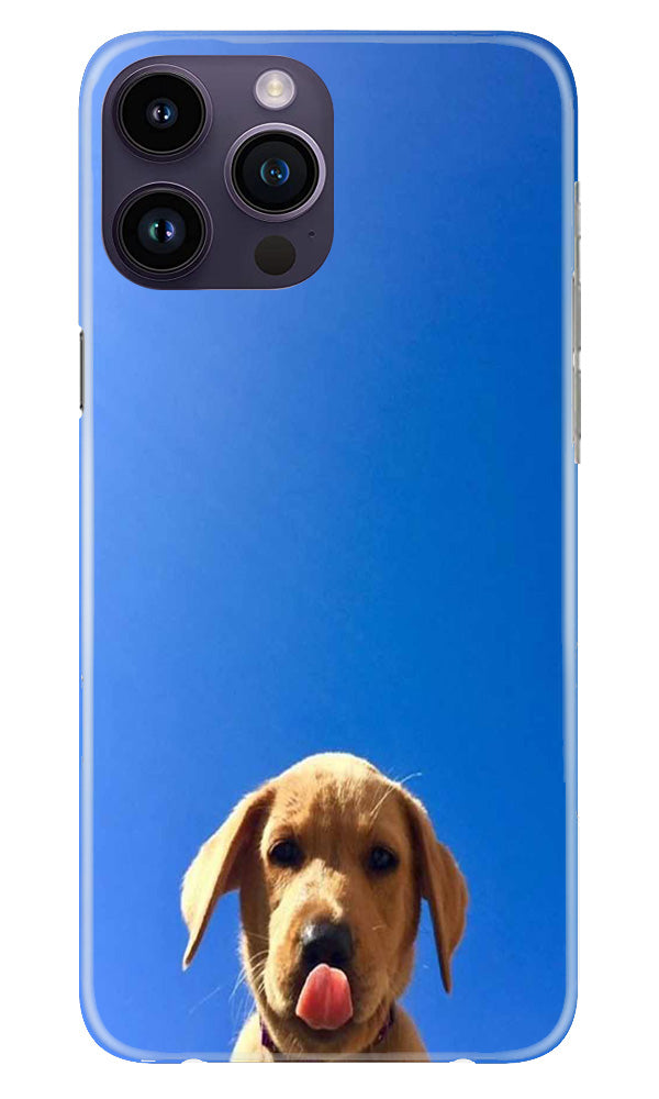 Dog Mobile Back Case for iPhone 14 Pro (Design - 294)