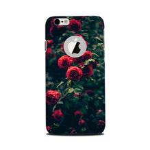 Red Rose Mobile Back Case for iPhone 6 / 6s logo cut  (Design - 66)