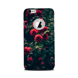 Red Rose Case for iPhone 6 / 6s logo cut 